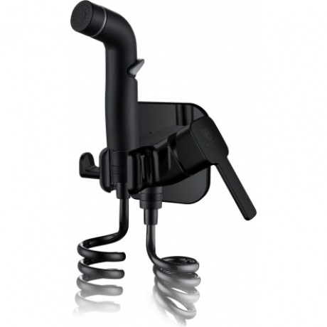 Смеситель c гигиеническим душем встраиваемый RUSH Capri (CA1435-99Black)
Смеситель c гигиеническим душем встраиваемый RUSH Capri (CA1435-99Black)