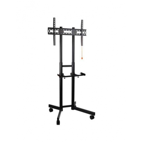 Подставка для телевизора Arm Media PT-STAND-7 черный 32"-80" макс.50кг напольный фиксированный
Подставка для телевизора Arm Media PT-STAND-7 черный 32"-80" макс.50кг напольный фиксированный