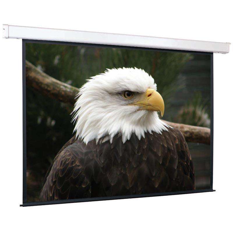 Экран настенный ScreenMedia Champion 274х206 MW (SCM-4305)
Экран настенный ScreenMedia Champion 274х206 MW (SCM-4305)