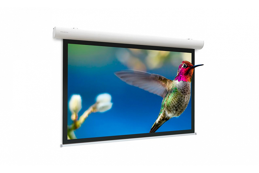 Экран настенный Projecta 10103541 191х300
Экран настенный Projecta 10103541 191х300