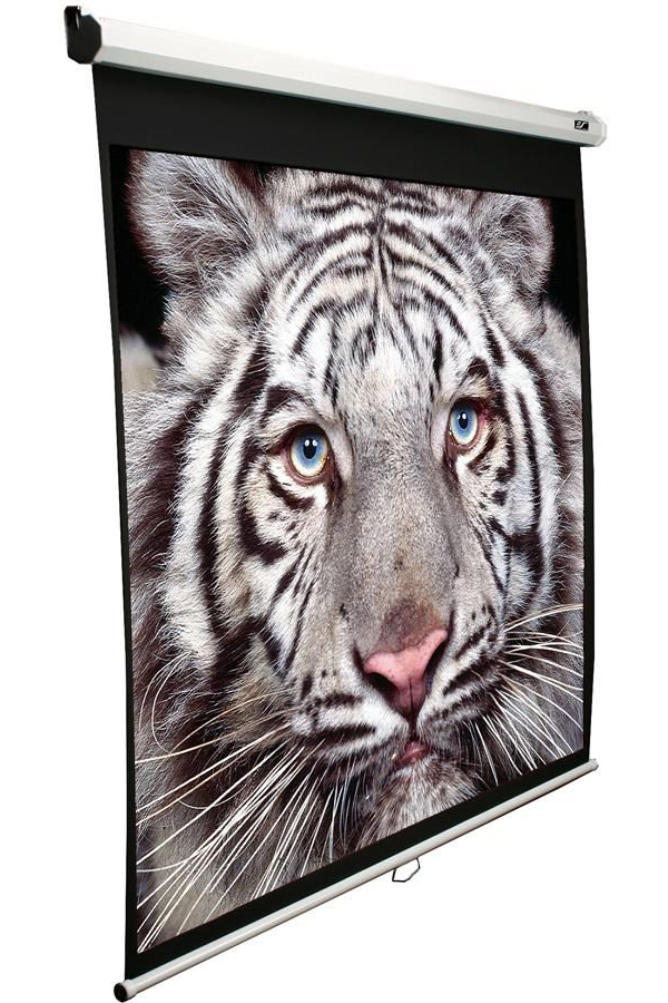 Экран настенно-потолочный Elite Screens Manual M135XWV2 206x274 белый
Экран настенно-потолочный Elite Screens Manual M135XWV2 206x274 белый