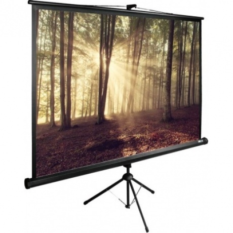 Экран напольный Cactus TriExpert CS-PSTE-180X135-BK черный
Экран напольный Cactus TriExpert CS-PSTE-180X135-BK черный