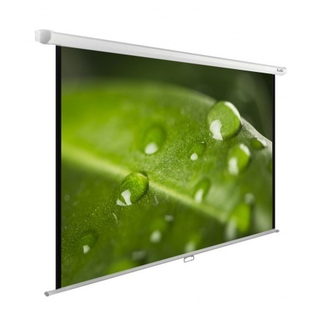 Экран настенно-потолочный Cactus WallExpert CS-PSWE-200X150-WT
Экран настенно-потолочный Cactus WallExpert CS-PSWE-200X150-WT