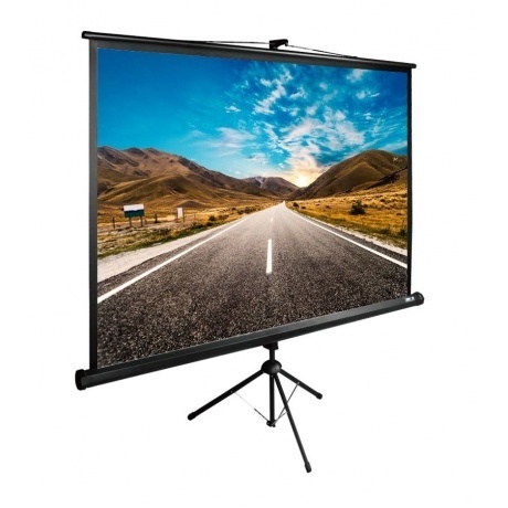 Экран напольный Cactus TriExpert CS-PSTE-160X160-BK черный
Экран напольный Cactus TriExpert CS-PSTE-160X160-BK черный