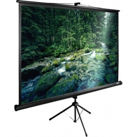 Экран напольный Cactus TriExpert CS-PSTE-220X165-BK черный
Экран напольный Cactus TriExpert CS-PSTE-220X165-BK черный