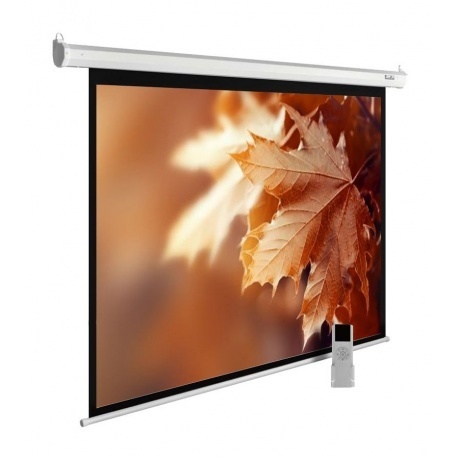 Экран настенно-потолочный Cactus MotoExpert CS-PSME-300X188-WT белый
Экран настенно-потолочный Cactus MotoExpert CS-PSME-300X188-WT белый