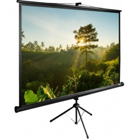 Экран напольный Cactus TriExpert CS-PSTE-200X200-BK черный
Экран напольный Cactus TriExpert CS-PSTE-200X200-BK черный
