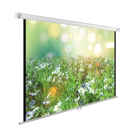 Экран настенно-потолочный Cactus WallExpert CS-PSWE-200X200-WT
Экран настенно-потолочный Cactus WallExpert CS-PSWE-200X200-WT