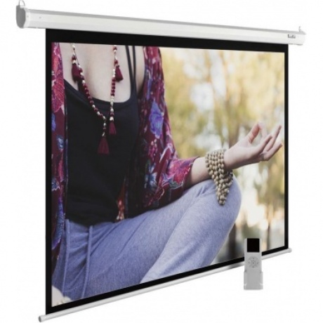 Экран настенно-потолочный Cactus MotoExpert CS-PSME-280X210-WT белый
Экран настенно-потолочный Cactus MotoExpert CS-PSME-280X210-WT белый