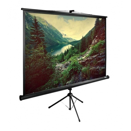 Экран напольный Cactus TriExpert CS-PSTE-220X220-BK черный
Экран напольный Cactus TriExpert CS-PSTE-220X220-BK черный