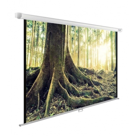 Экран настенно-потолочный Cactus WallExpert CS-PSWE-220X220-WT
Экран настенно-потолочный Cactus WallExpert CS-PSWE-220X220-WT