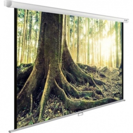 Экран настенно-потолочный Cactus WallExpert CS-PSWE-220X220-WT
Экран настенно-потолочный Cactus WallExpert CS-PSWE-220X220-WT