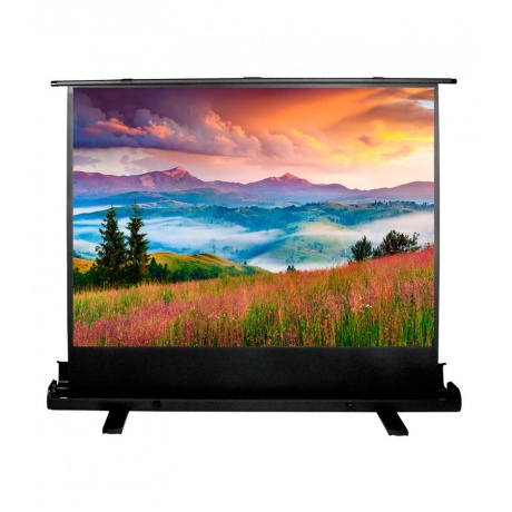 Экран напольный Cactus FloorExpert CS-PSFLE-120X68
Экран напольный Cactus FloorExpert CS-PSFLE-120X68