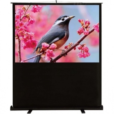 Экран напольный Cactus FloorCompactExpert CS-PSFLCE-120X90
Экран напольный Cactus FloorCompactExpert CS-PSFLCE-120X90