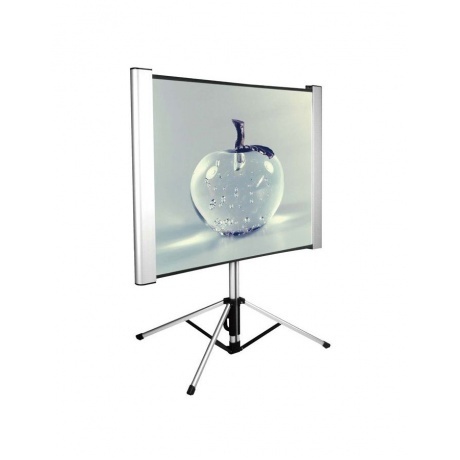 Экран напольный Cactus TriAlExpert CS-PSTALE-180X102
Экран напольный Cactus TriAlExpert CS-PSTALE-180X102