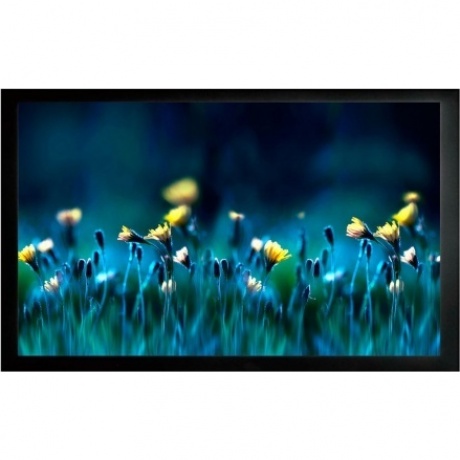 Экран на раме Cactus FrameExpert CS-PSFRE-200X113
Экран на раме Cactus FrameExpert CS-PSFRE-200X113