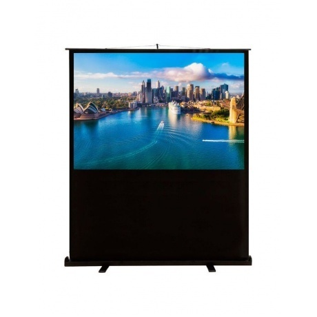 Экран напольный Cactus FloorCompactExpert CS-PSFLCE-160X120
Экран напольный Cactus FloorCompactExpert CS-PSFLCE-160X120