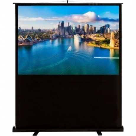 Экран напольный Cactus FloorCompactExpert CS-PSFLCE-160X120
Экран напольный Cactus FloorCompactExpert CS-PSFLCE-160X120