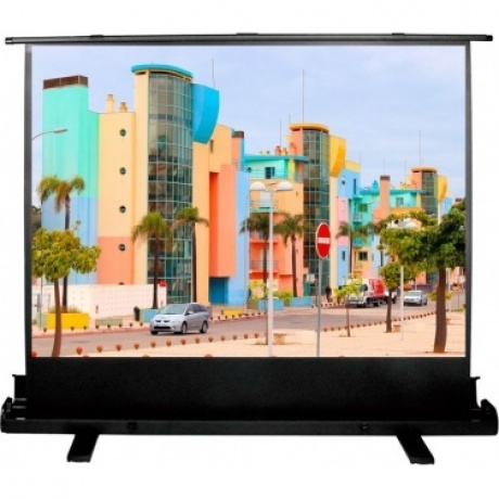 Экран напольный Cactus FloorExpert CS-PSFLE-160X120
Экран напольный Cactus FloorExpert CS-PSFLE-160X120