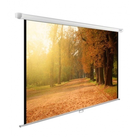 Экран настенно-потолочный Cactus WallExpert CS-PSWE-200X125-WT
Экран настенно-потолочный Cactus WallExpert CS-PSWE-200X125-WT