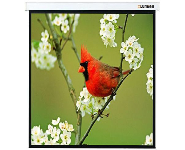 Экран настенно-потолочный Lumien Master Picture LMP-100129 220x220
Экран настенно-потолочный Lumien Master Picture LMP-100129 220x220