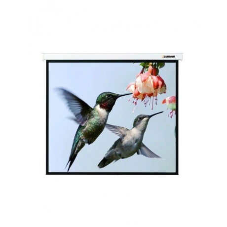 Экран настенно-потолочный Lumien Master Picture LMP-100117 280x202
Экран настенно-потолочный Lumien Master Picture LMP-100117 280x202