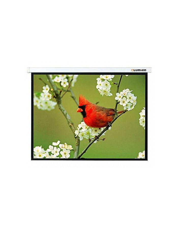 Экран настенно-потолочный Lumien Master Picture LMP-100107 305x305
Экран настенно-потолочный Lumien Master Picture LMP-100107 305x305