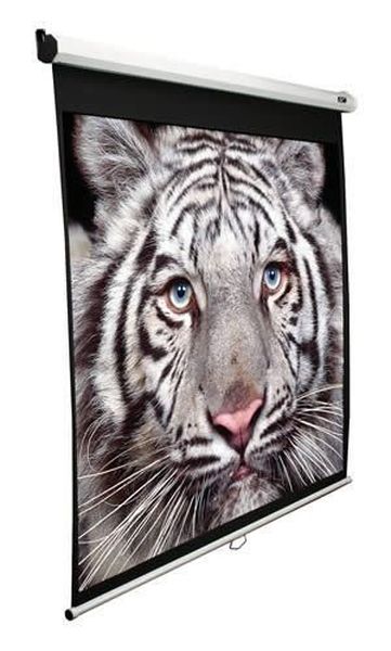 Экран настенно-потолочный Elite Screens Manual M135XWH2 168x299 белый
Экран настенно-потолочный Elite Screens Manual M135XWH2 168x299 белый