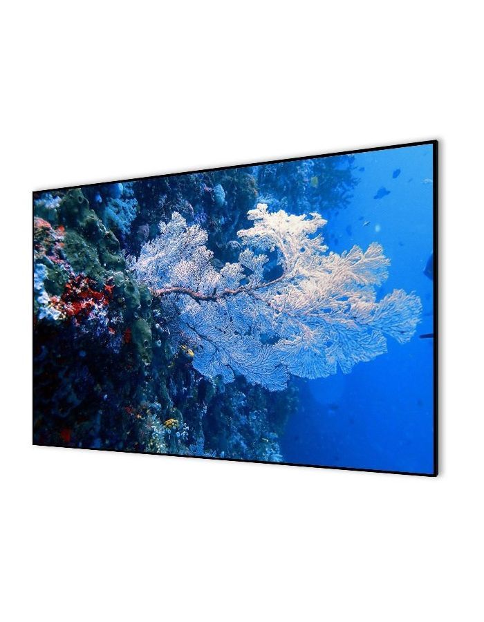 Экран настенный Cactus Alr Expert CS-PSALR-267X151 151x267
Экран настенный Cactus Alr Expert CS-PSALR-267X151 151x267