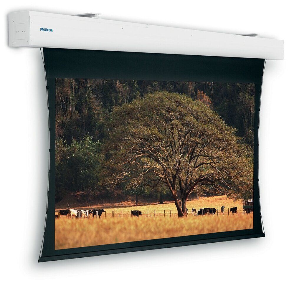 Экран Projecta Tensioned Elpro Large Electrol 151x400 (10192686)
Экран Projecta Tensioned Elpro Large Electrol 151x400 (10192686)