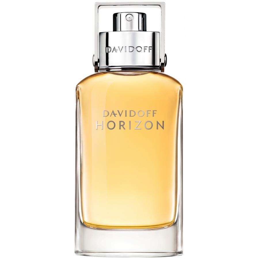 Туалетная вода Davidoff Horizon, 40 мл, мужская
Туалетная вода Davidoff Horizon, 40 мл, мужская