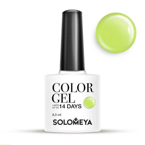Гель-лак Solomeya Color Gel №028 Фисташка 8,5 мл
Гель-лак Solomeya Color Gel №028 Фисташка 8,5 мл