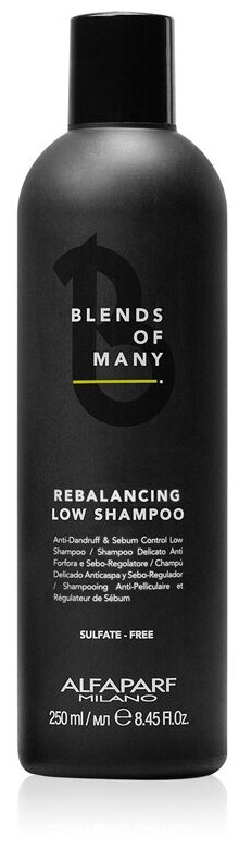 Деликатный балансирующий шампунь Alfaparf Milano Rebalancing Low Shampoo, 250 мл
Деликатный балансирующий шампунь Alfaparf Milano Rebalancing Low Shampoo, 250 мл