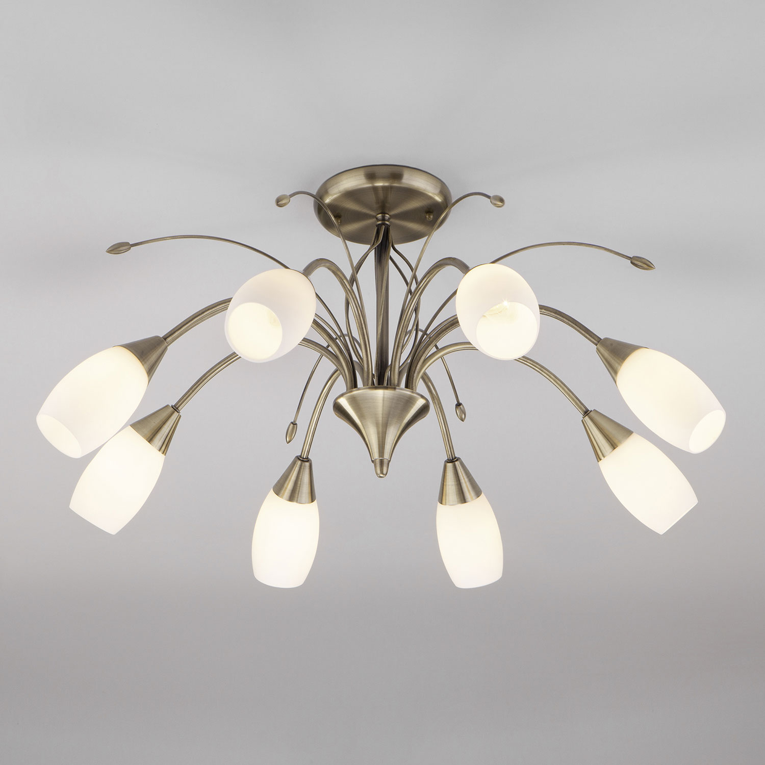 Люстра Евросвет Ginevra 30280/8 античная бронза
Люстра Евросвет Ginevra 30280/8 античная бронза