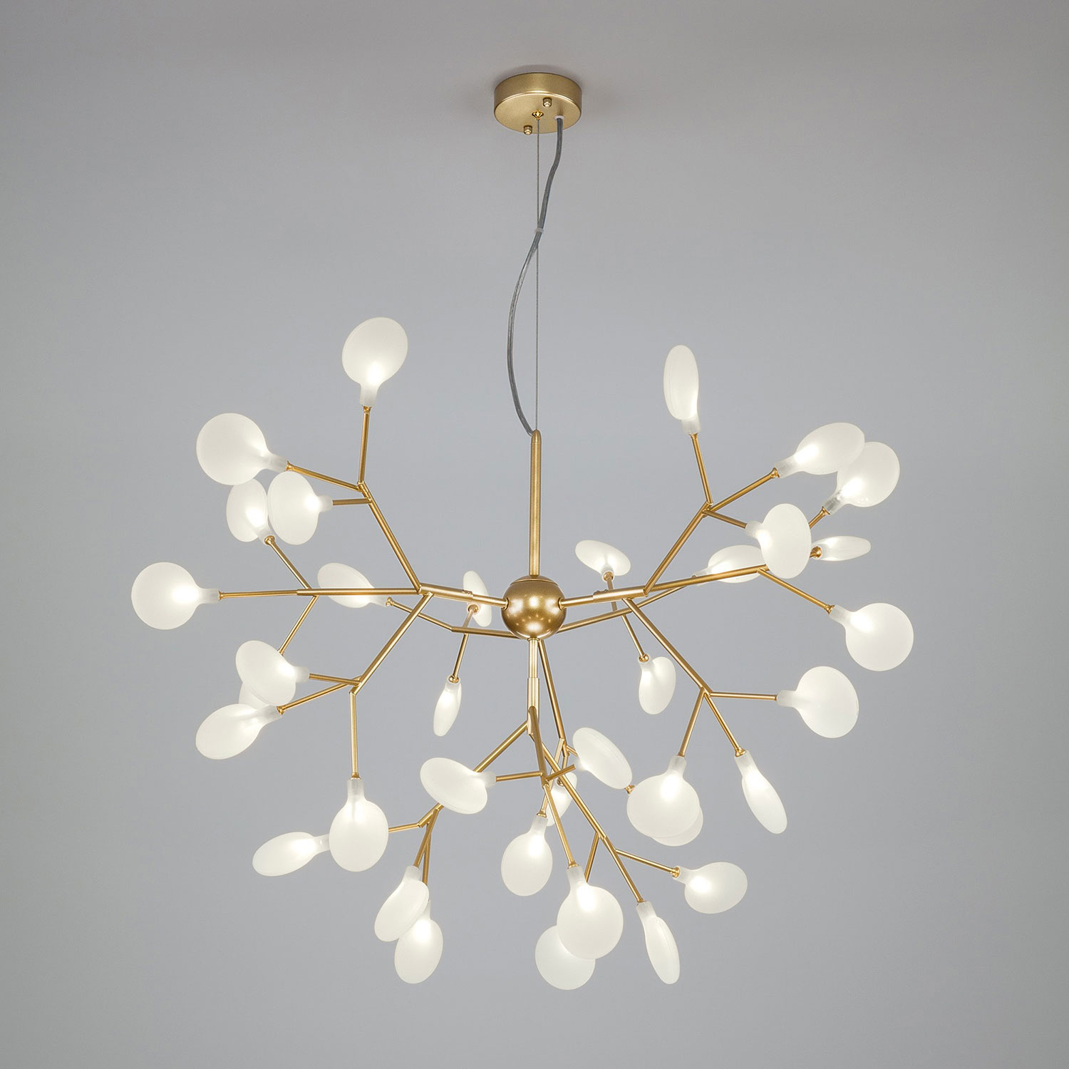 Люстра Евросвет Foglia 541
Люстра Евросвет Foglia 541