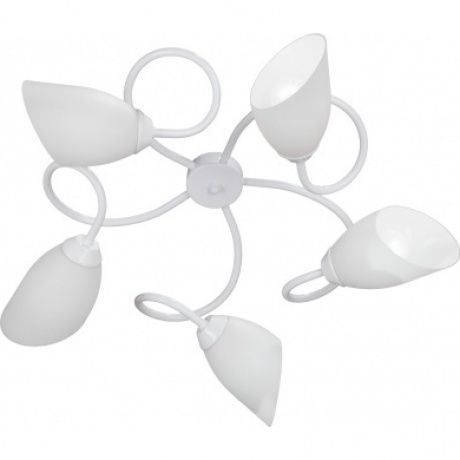 Люстра Vitaluce V3396/5PL, 5xE14 макс. 40Вт, плафон ПП
Люстра Vitaluce V3396/5PL, 5xE14 макс. 40Вт, плафон ПП