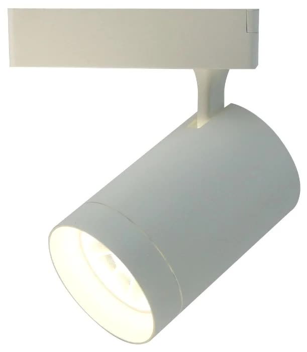 Трековый светильник Arte lamp Soffitto A1730PL-1WH
Трековый светильник Arte lamp Soffitto A1730PL-1WH