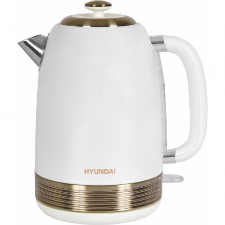 Чайник электрический Hyundai HYK-S4500
Чайник электрический Hyundai HYK-S4500