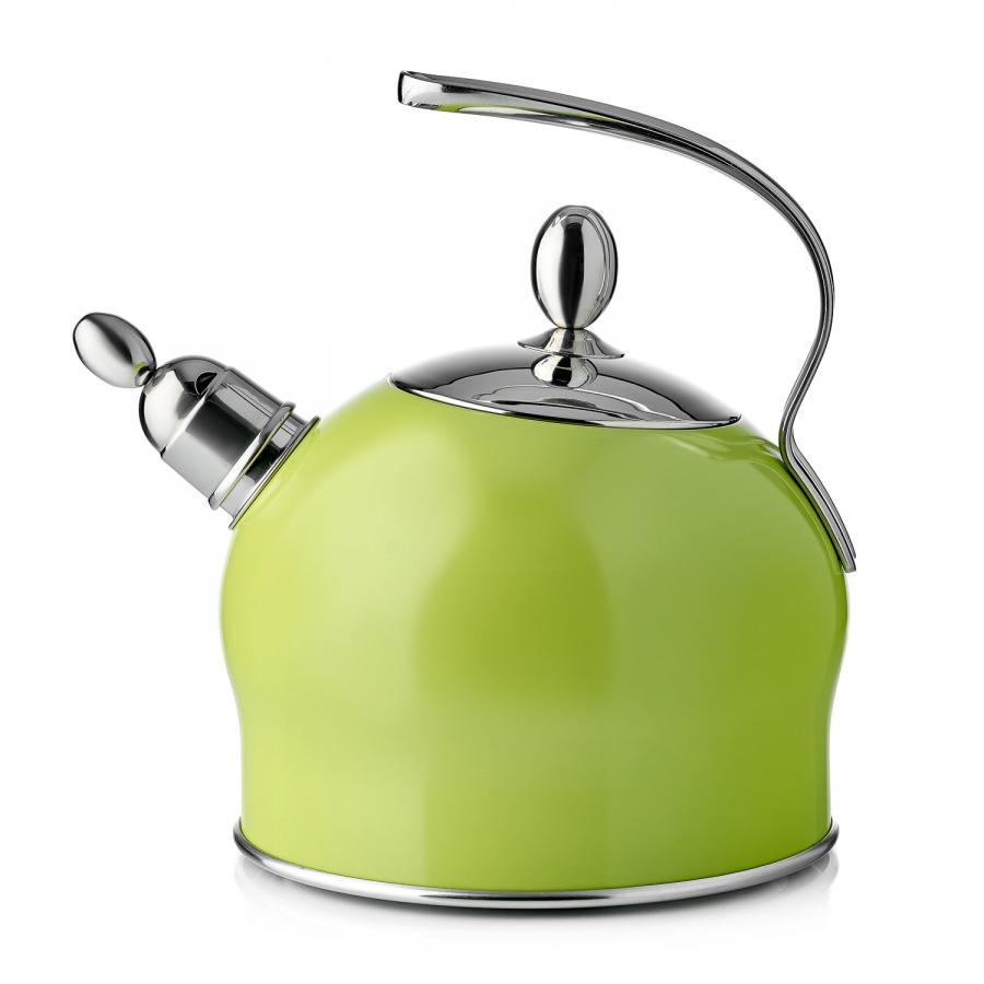 Чайник наплитный Esprado Ritade 2,5л, зеленый, нерж. сталь
Чайник наплитный Esprado Ritade 2,5л, зеленый, нерж. сталь