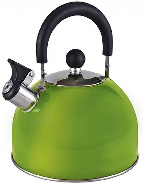 Чайник металлический Endever Aquarelle 303 3л зеленый
Чайник металлический Endever Aquarelle 303 3л зеленый