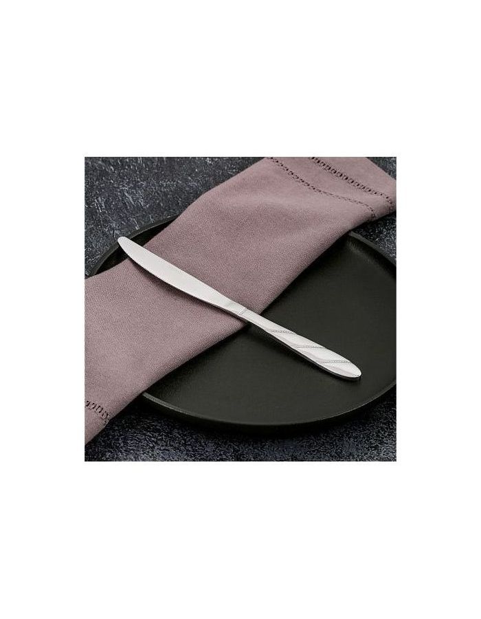 Нож столовый PEARL DOMENIK DMC063
Нож столовый PEARL DOMENIK DMC063