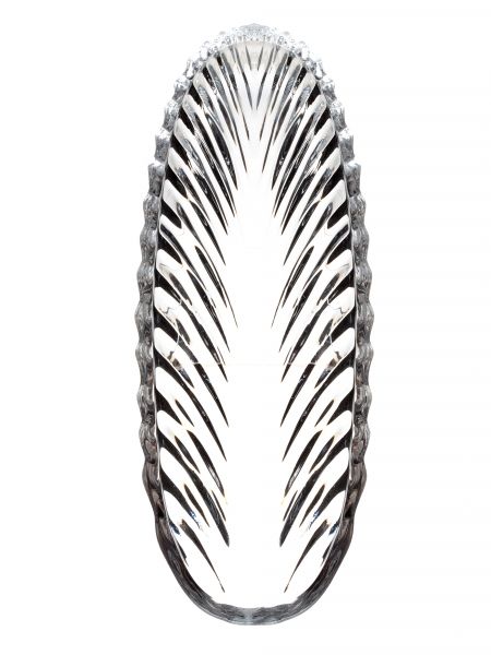 Селедочница Briverre CN01413 30х11см 
Селедочница Briverre CN01413 30х11см