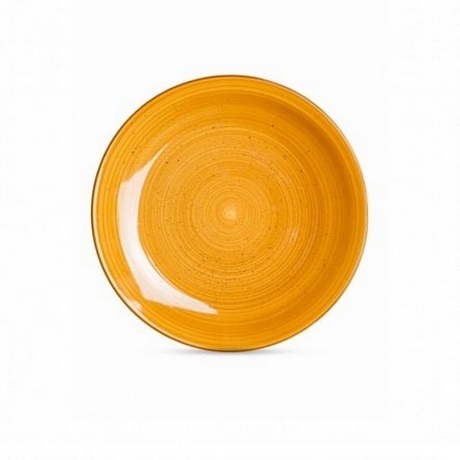 Тарелка обеденная TWIST медовый 24.8см
Тарелка обеденная TWIST медовый 24.8см