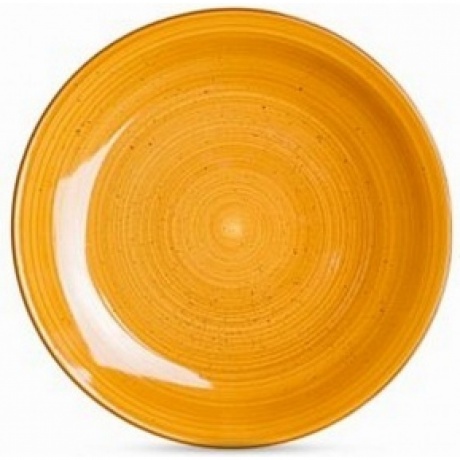 Тарелка обеденная TWIST медовый 24.8см
Тарелка обеденная TWIST медовый 24.8см