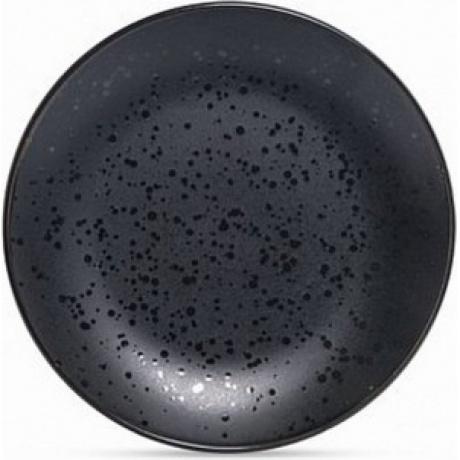 Тарелка обеденная DROPS черный 24.8см
Тарелка обеденная DROPS черный 24.8см