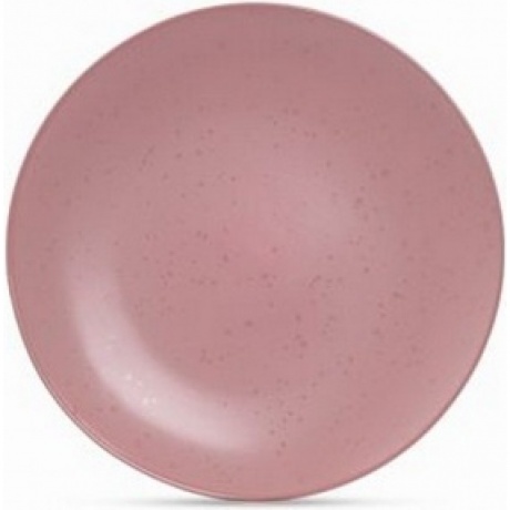 Тарелка обеденная DROPS розовый 24.8см
Тарелка обеденная DROPS розовый 24.8см