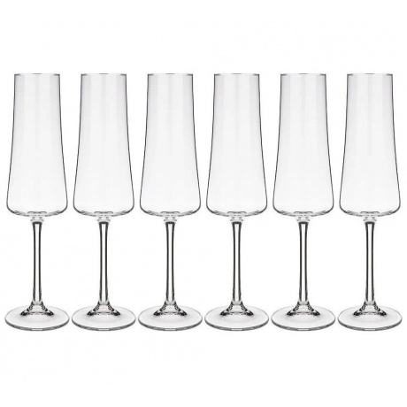 Набор бокалов для шампанского XTRA 6шт 210мл CRYSTALEX CR210104X
Набор бокалов для шампанского XTRA 6шт 210мл CRYSTALEX CR210104X
