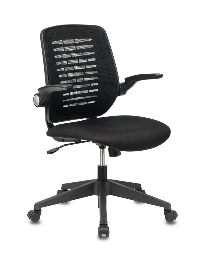 Кресло Бюрократ CH-495/BLACK спинка сетка черный TW-01 NEO сетка/ткань
Кресло Бюрократ CH-495/BLACK спинка сетка черный TW-01 NEO сетка/ткань