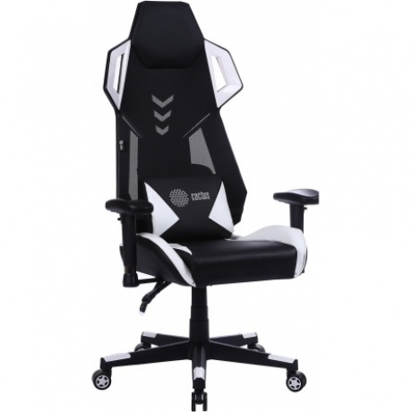Кресло компьютерное Cactus CS-CHR-090BLW черный/белый
Кресло компьютерное Cactus CS-CHR-090BLW черный/белый