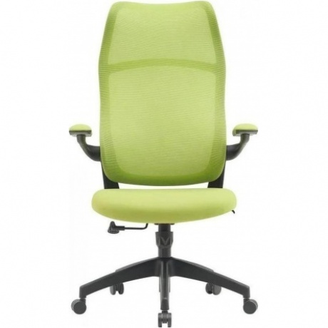 Кресло Cactus CS-MC505-GN салатовый сиденье салатовый сетка/ткань крестов. пластик пластик черный
Кресло Cactus CS-MC505-GN салатовый сиденье салатовый сетка/ткань крестов. пластик пластик черный